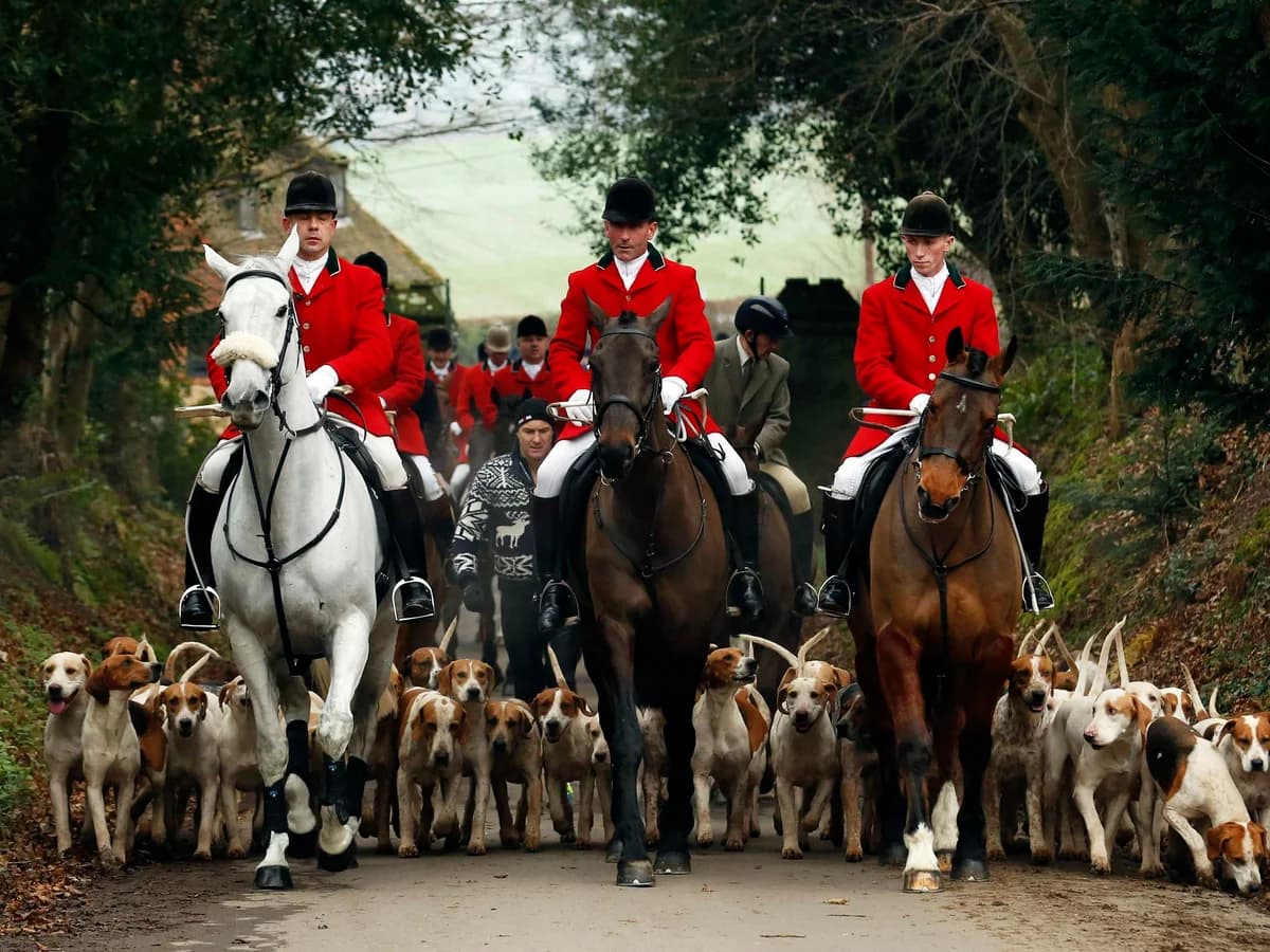 Black and Orange Hunt